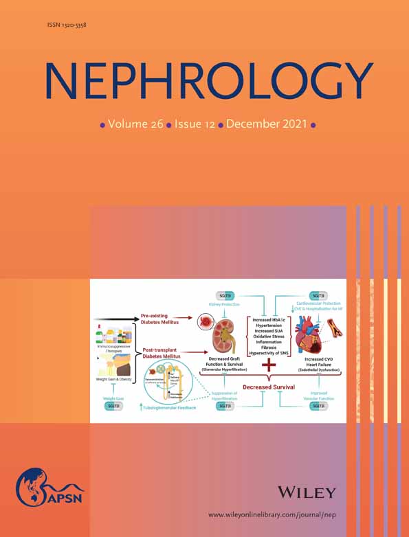 Impact of Imatinib Treatment on Renal Function in Chronic Myeloid Leukemia Patients