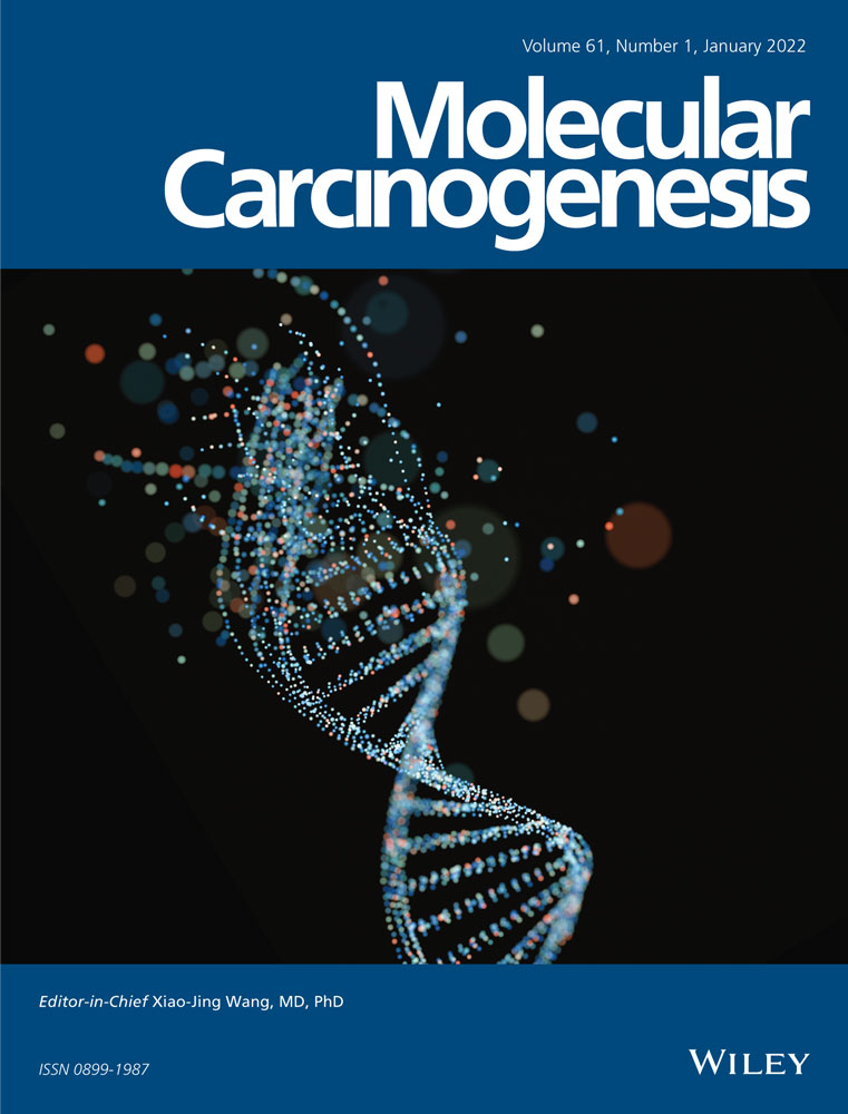 Tumor‐derived exosomes: Key players in non‐small cell lung cancer metastasis and their implication for targeted therapy