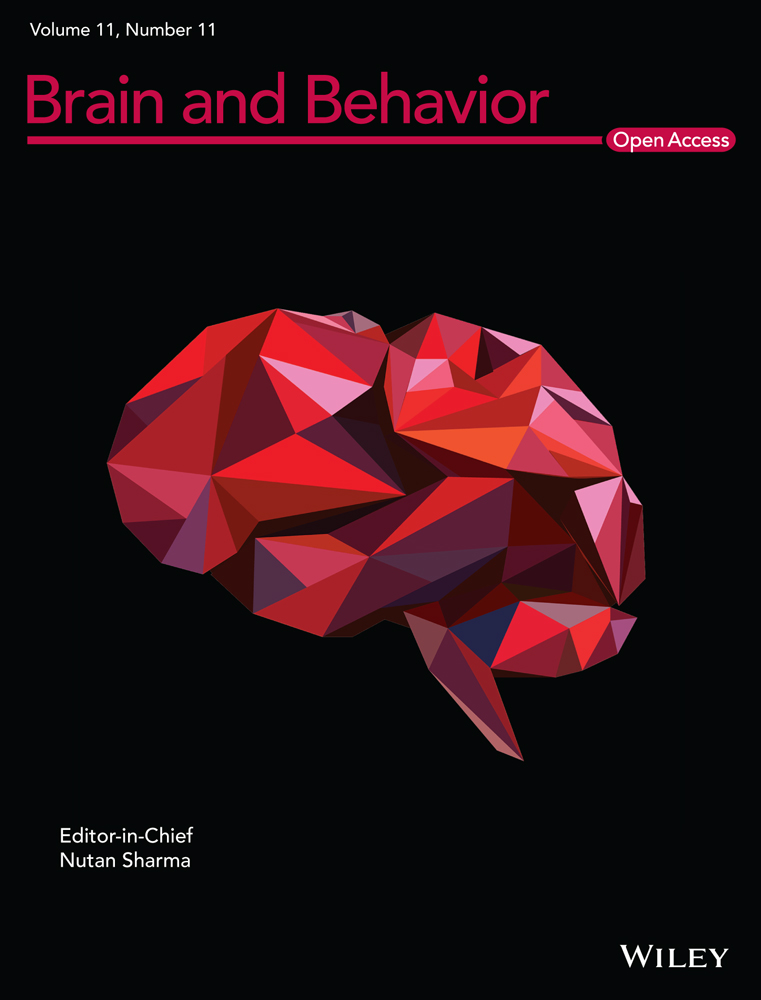 Awareness and attitude of first‐year medical students toward epilepsy in University of Khartoum, Sudan