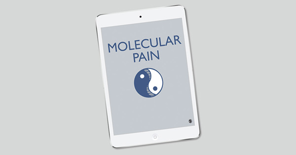 Endothelin receptor type A is involved in the development of oxaliplatin-induced mechanical allodynia and cold allodynia acting through spinal and peripheral mechanisms in rats
