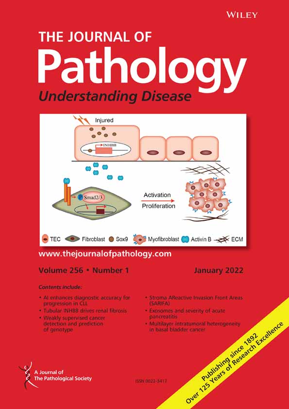 Jeremy Jass Prize for Research Excellence in Pathology 2020