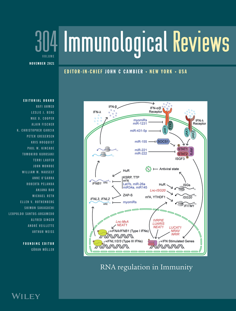 Understanding immunity in a tissue‐centric context: Combining novel imaging methods and mathematics to extract new insights into function and dysfunction*