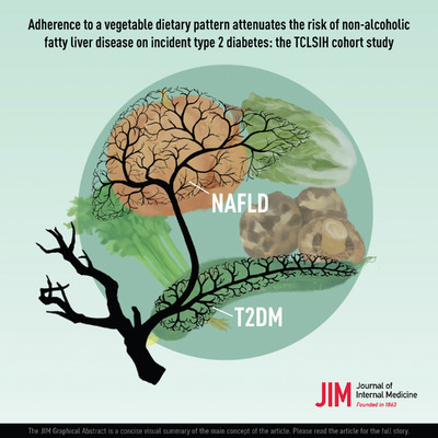 Adherence to a vegetable dietary pattern attenuates the risk of non‐alcoholic fatty liver disease in incident type 2 diabetes: The TCLSIH cohort study