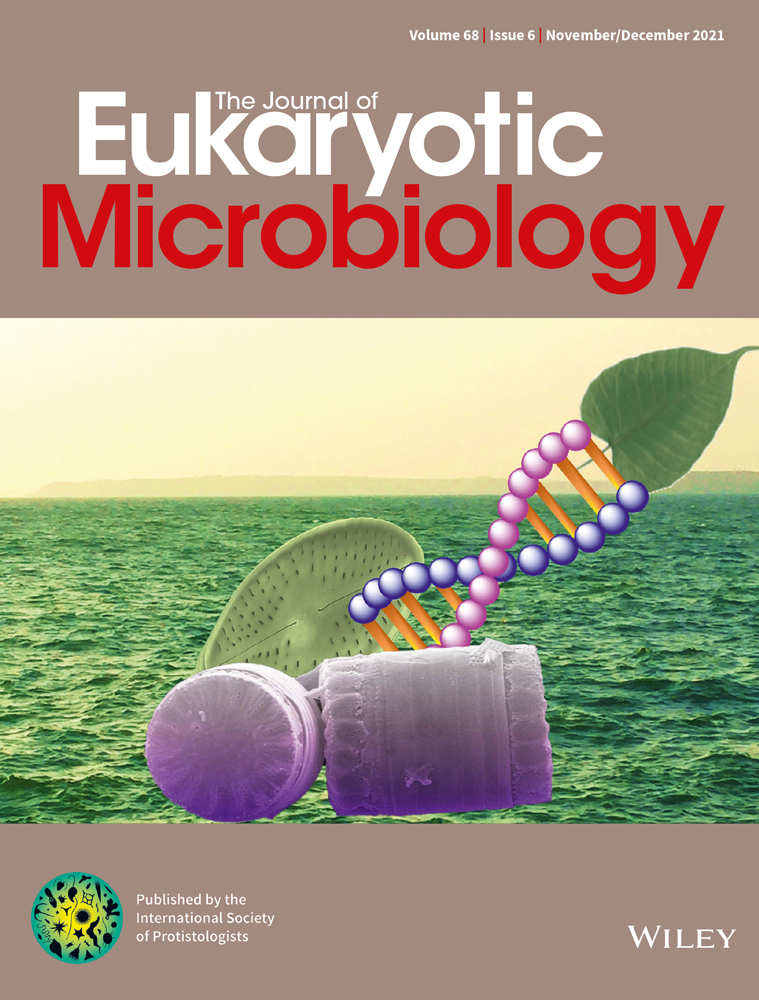 The specific inhibition of glycerol synthesis and the phosphorylation of a putative MAPK give insight into the mechanism of osmotic sensing in a dinoflagellate symbiont