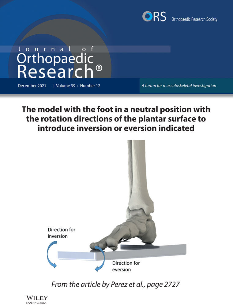 Mechanism of Non‐Contact ACL Injury