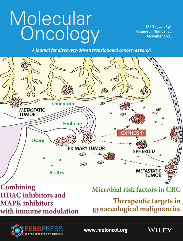 UDP‐glucose dehydrogenase expression is upregulated following EMT and differentially affects intracellular glycerophosphocholine and acetylaspartate levels in breast mesenchymal cell lines.