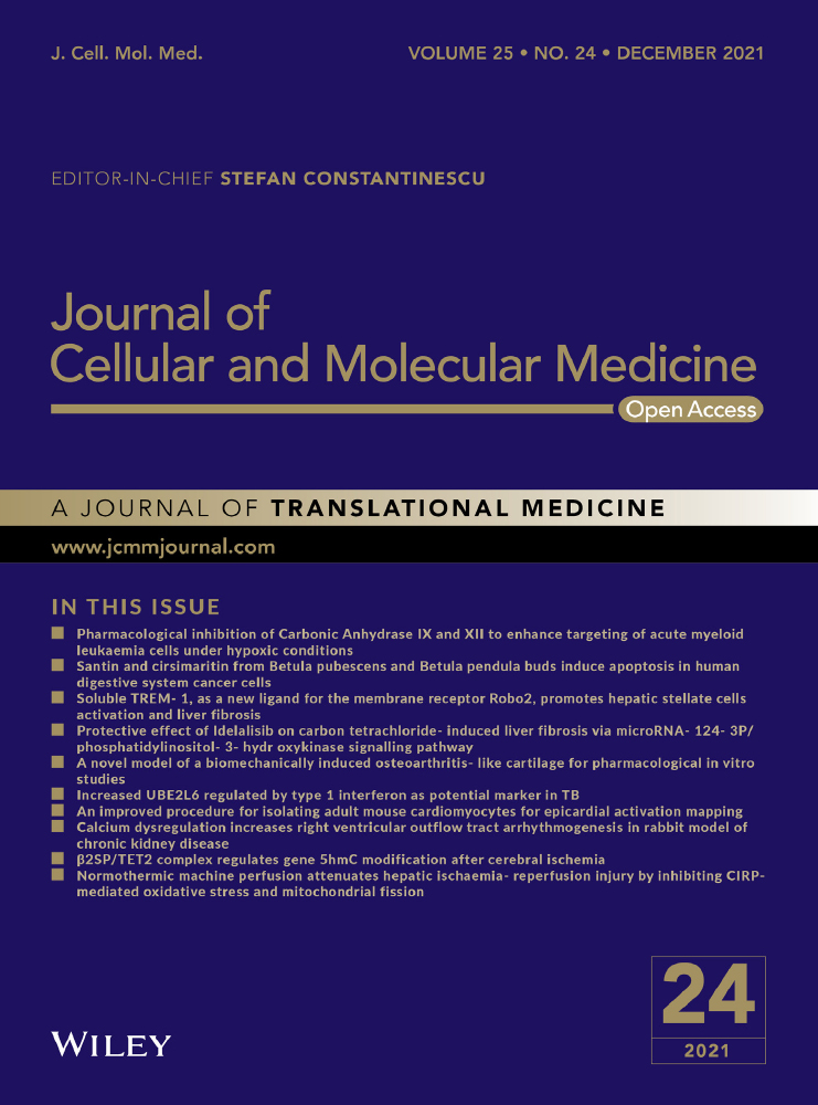 The G to A transformation of rs4702 polymorphism in 3’UTR of FURIN reduced the risk of radiotherapy‐induced cognitive impairment in glioma patients