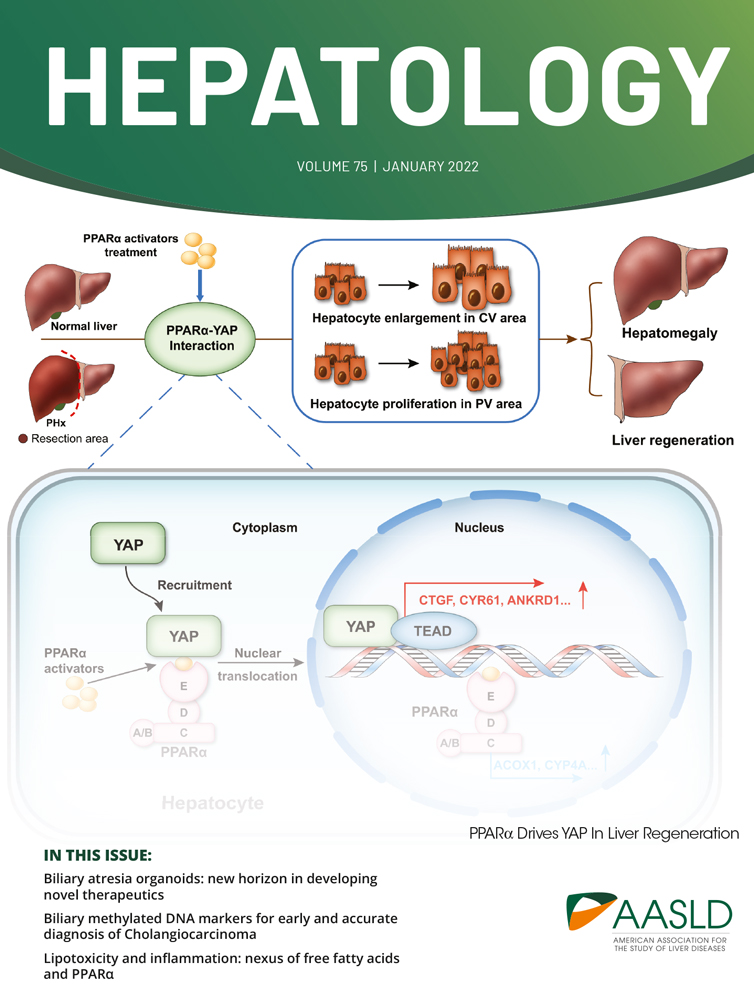 Letter to the editor: Episodic‐precipitant induced hepatic encephalopathy treatment: look at new and old precipitants!