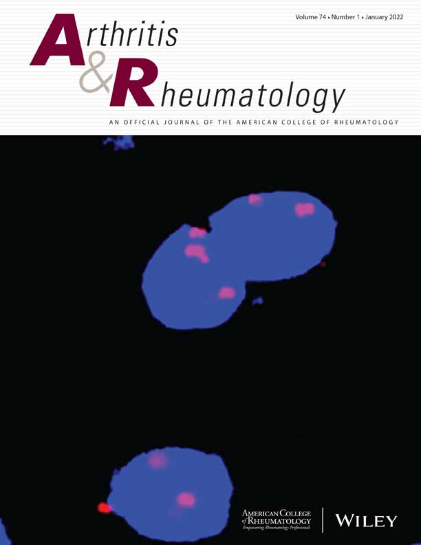 Fanning the flames of autoimmunity: the microbiome in rheumatic disease