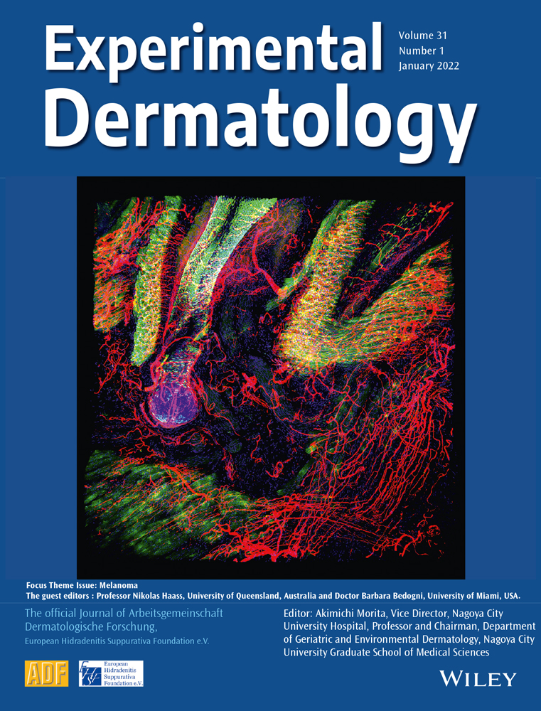 Programmed gene expression change in mouse skin after ultraviolet radiation damage
