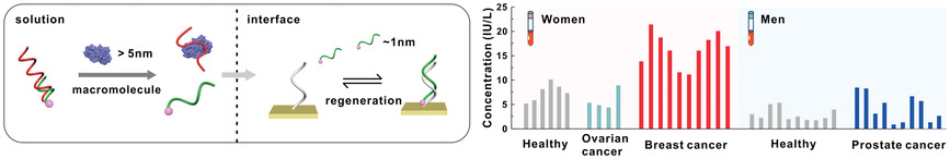 Ultrasensitive DNA‐Biomacromolecule Sensor for the Detection Application of Clinical Cancer Samples