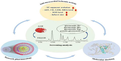 Comprehensive phytochemicals analysis and anti‐myocardial ischemia activity of total saponins of American ginseng berry