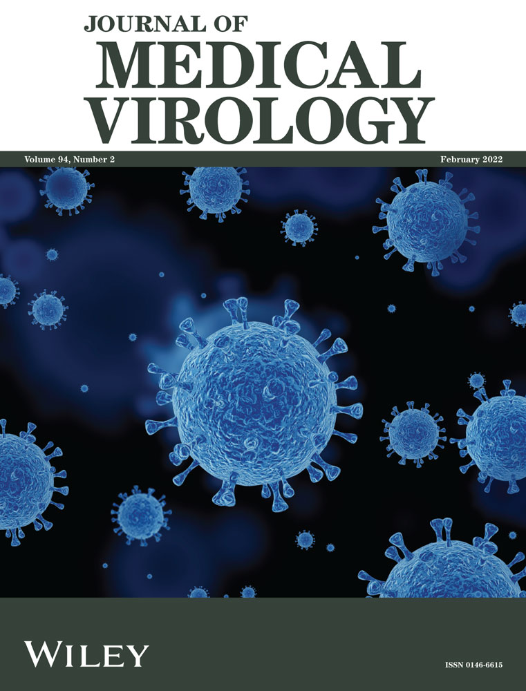 From Alpha to Omicron SARS‐CoV‐2 variants: what their evolutionary signatures can tell us?