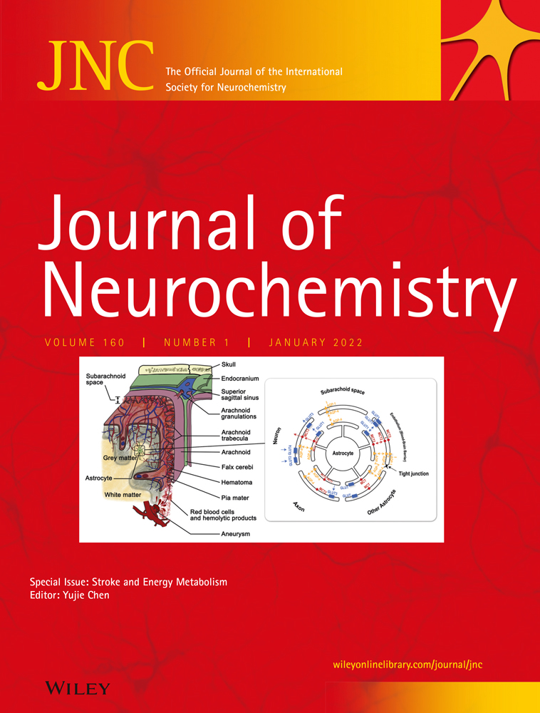 In vitro assays for the functional characterization of (psychedelic) substances at the serotonin receptor 5‐HT2AR