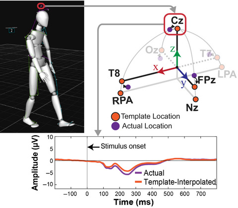 Using the MoBI motion capture system to rapidly and accurately localize EEG electrodes in anatomic space