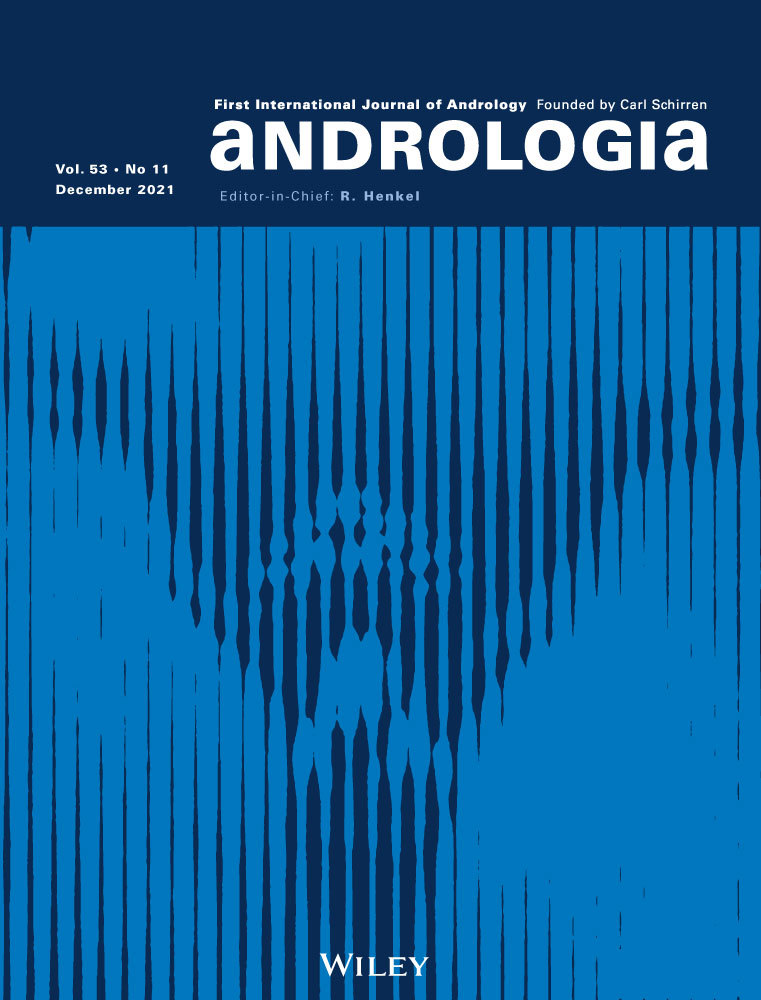 Primary spindle cell sarcoma of the seminal vesicle: A case report and literature review