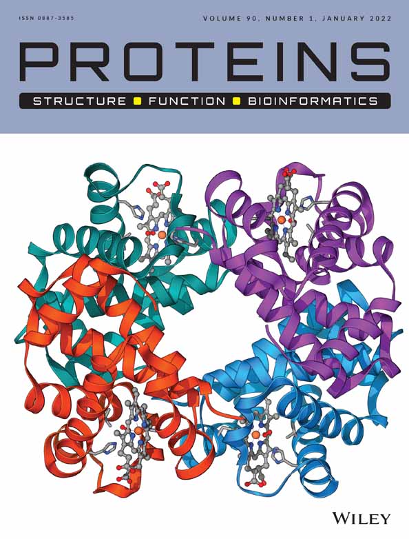 The X‐ray crystal structure of human A15C neuroglobin reveals both native/de novo disulfide bonds and unexpected ligand‐binding sites