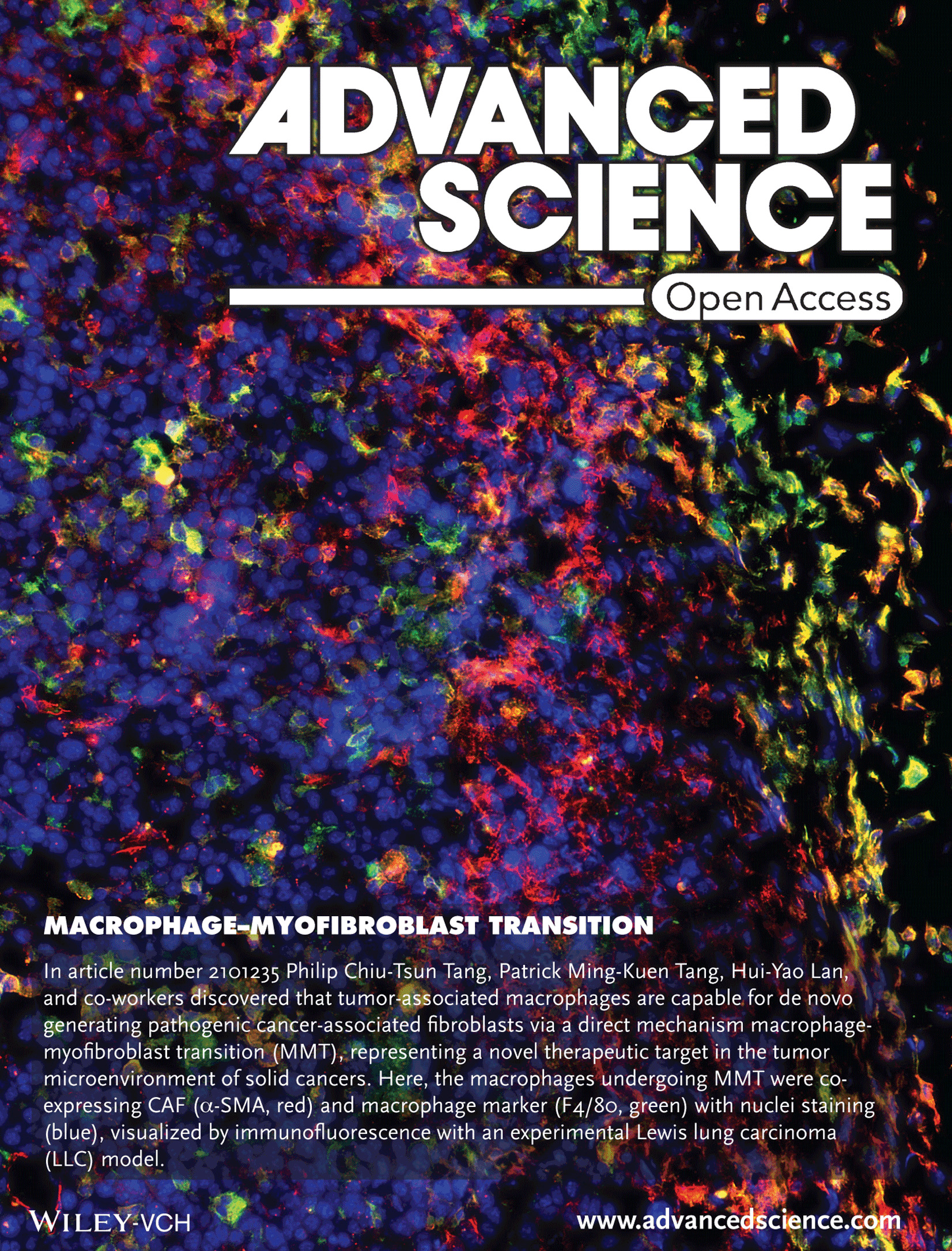 Smad3 Promotes Cancer‐Associated Fibroblasts Generation via Macrophage–Myofibroblast Transition (Adv. Sci. 1/2022)