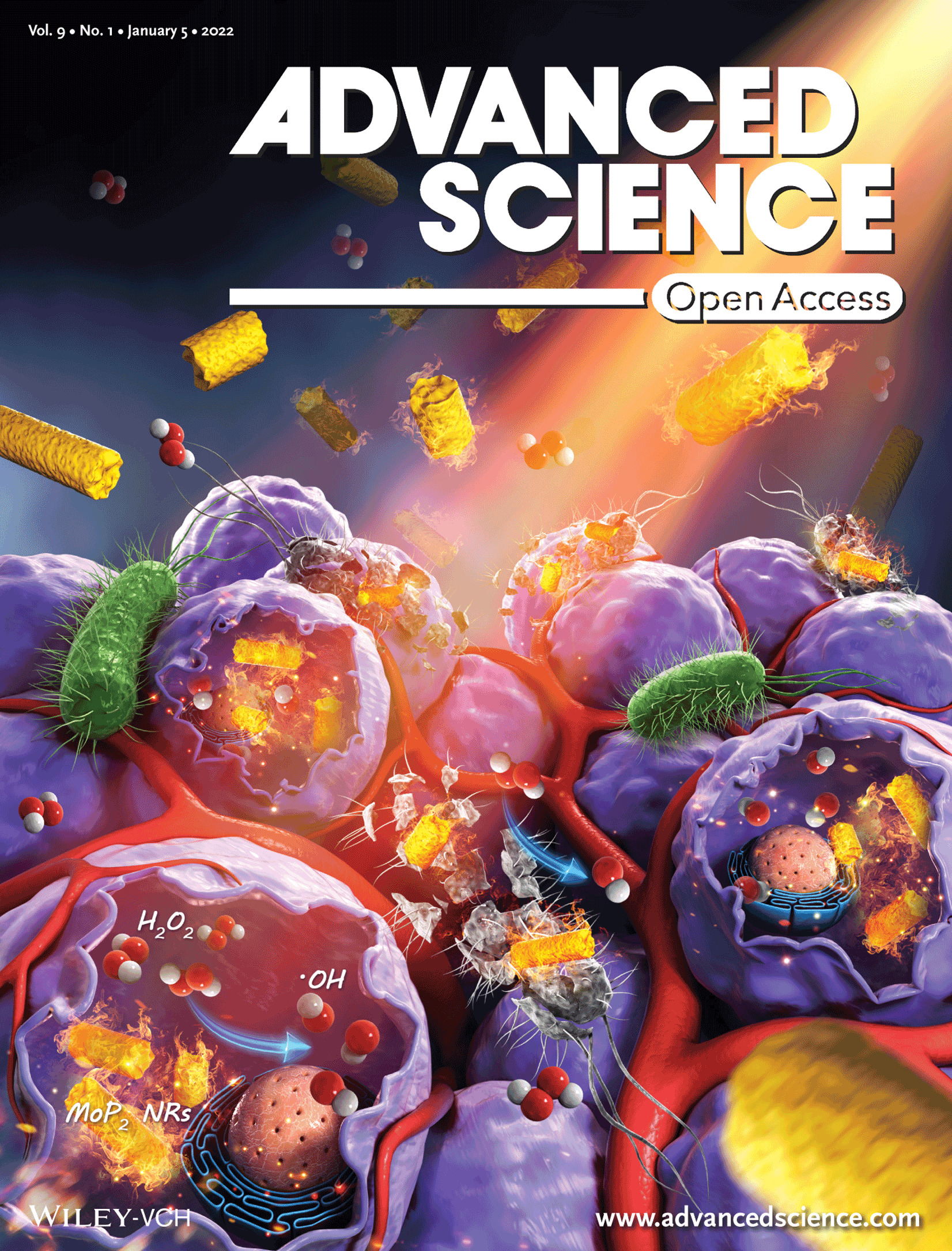 Molybdenum Diphosphide Nanorods with Laser‐Potentiated Peroxidase Catalytic/Mild‐Photothermal Therapy of Oral Cancer (Adv. Sci. 1/2022)