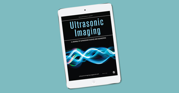 Segmentation Enhanced Elastic Image Registration for 2D Speckle Tracking Echocardiography—Performance Study In Silico