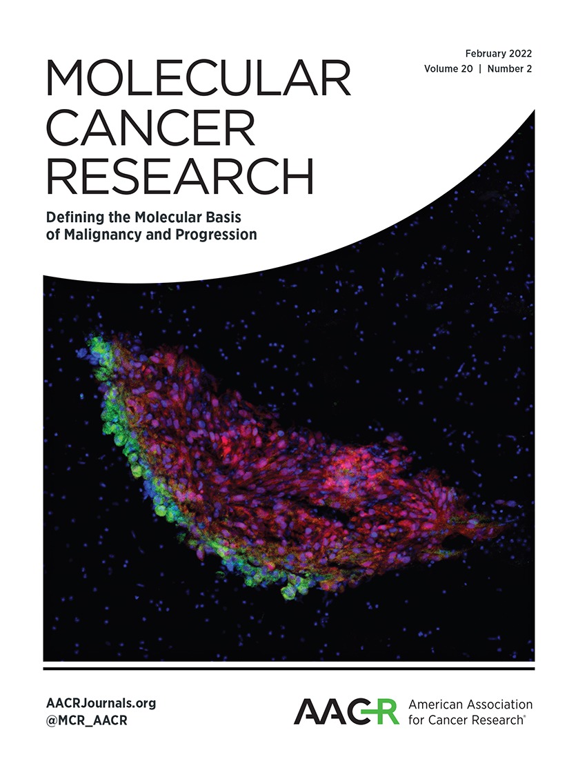 Clinical and Functional Significance of TP53 Exon 4-Intron 4 Splice Junction Variants