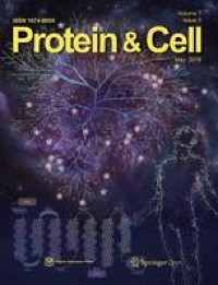 Islet organoid as a promising model for diabetes