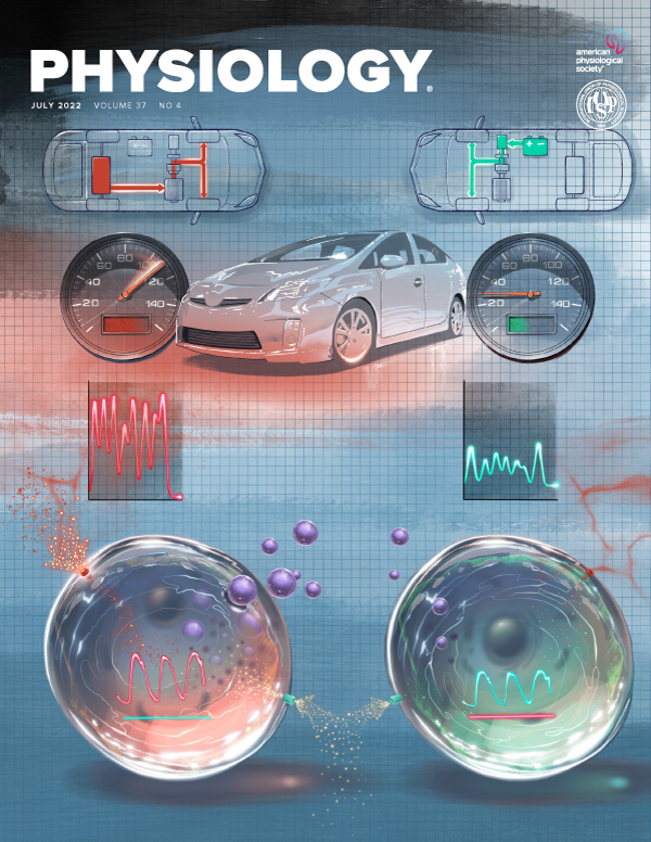 What Can an Organ-on-a-Chip Teach Us About Human Lung Pathophysiology?