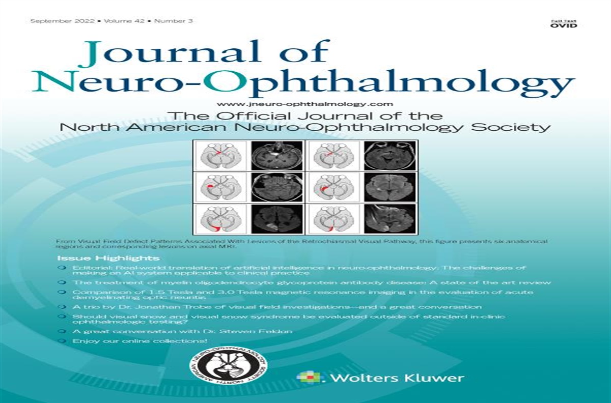 Should Visual Snow and Visual Snow Syndrome Be Evaluated Outside of Standard In-clinic Ophthalmologic Testing?