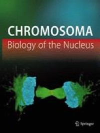 A step forward in the genome characterization of the sugarcane borer, Diatraea saccharalis: karyotype analysis, sex chromosome system and repetitive DNAs through a cytogenomic approach