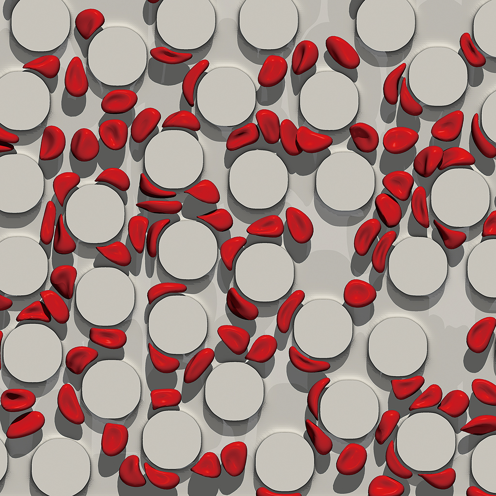 The role of biofilm matrix composition in controlling colony expansion and morphology