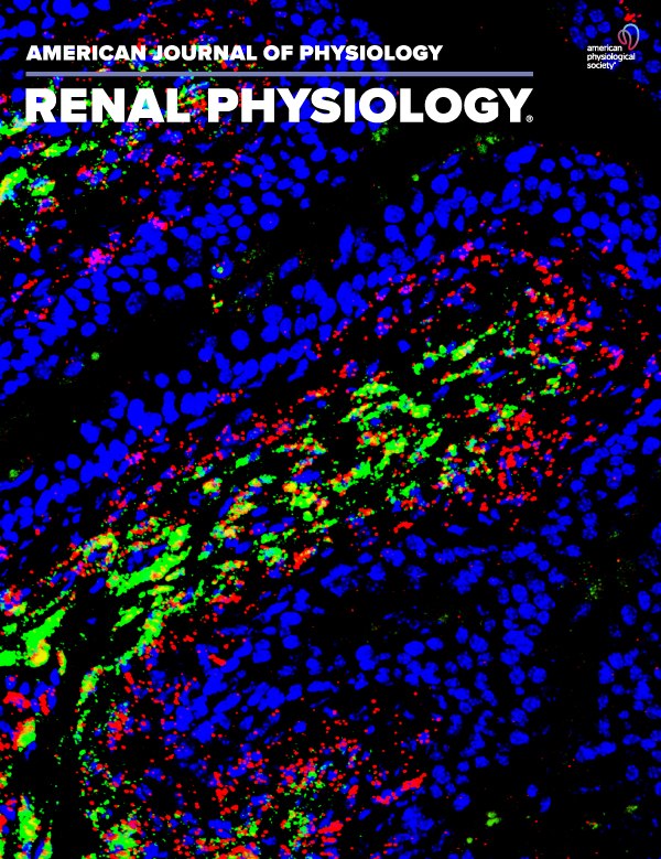 Sex Differences in Circadian Regulation of Kidney Function of the Mouse