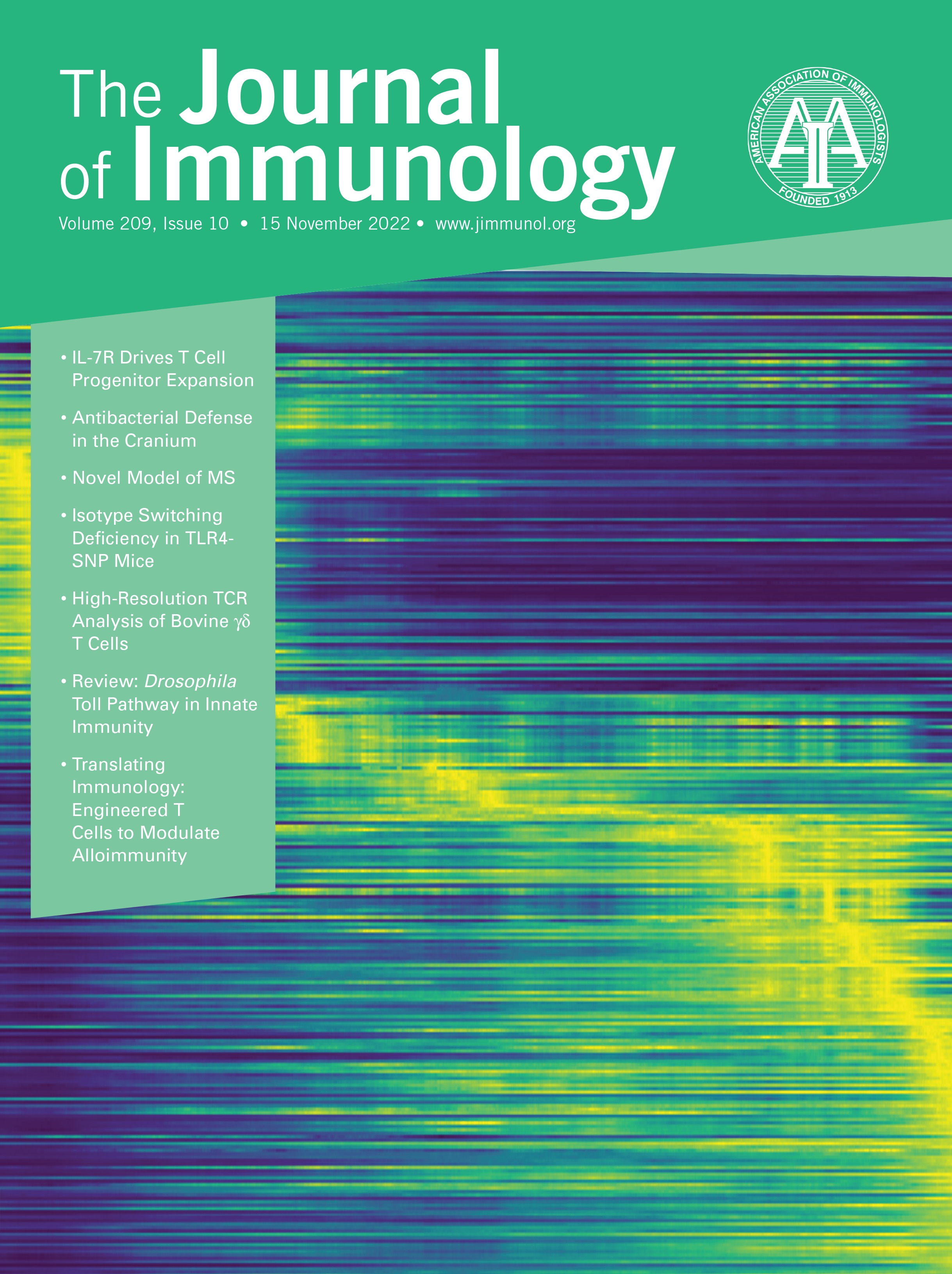 {gamma}{delta} TCRs Function as Innate-like Receptors in the Bovine {gamma}{delta} T Cell Response against Leptospira [ANTIGEN RECOGNITION AND RESPONSES]