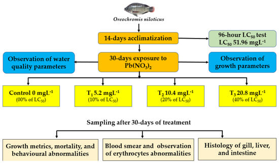 Toxics, Vol. 10, Pages 793: Assessment of Lead (Pb) Toxicity in Juvenile Nile Tilapia, Oreochromis niloticus&mdash;Growth, Behaviour, Erythrocytes Abnormalities, and Histological Alterations in Vital Organs