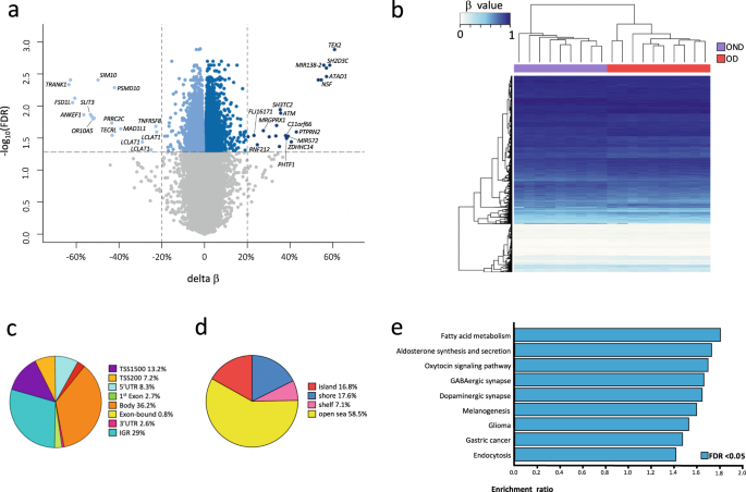 DNA methylation and gene expression analysis in adipose tissue to identify new loci associated with T2D development in obesity