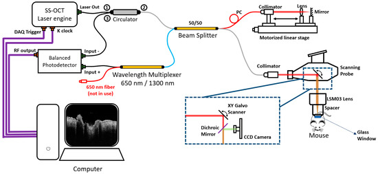 Applied Sciences, Vol. 13, Pages 378: Windowed Eigen-Decomposition Algorithm for Motion Artifact Reduction in Optical Coherence Tomography-Based Angiography