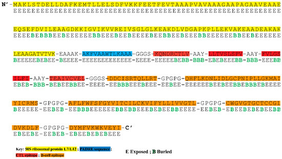 Vaccines, Vol. 11, Pages 61: An Immunoinformatics Approach to Design a Potent Multi-Epitope Vaccine against Asia-1 Genotype of Crimean&ndash;Congo Haemorrhagic Fever Virus Using the Structural Glycoproteins as a Target