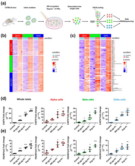 Cells, Vol. 12, Pages 113: Pancreatic Islet Cells Response to IFN&gamma; Relies on Their Spatial Location within an Islet