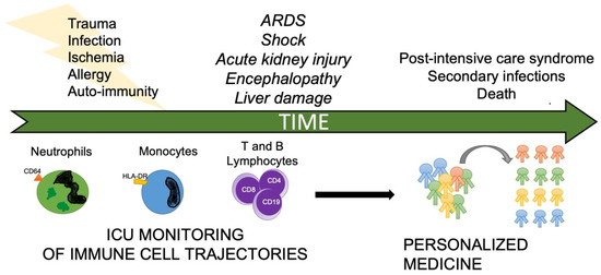 Medicina, Vol. 59, Pages 61: Monitoring of the Forgotten Immune System during Critical Illness&mdash;A Narrative Review