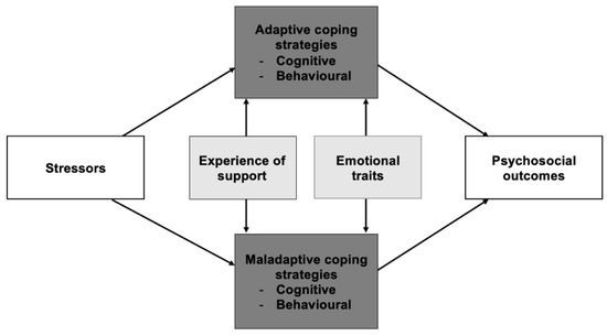 Healthcare, Vol. 11, Pages 89: Identifying Coping Strategies Used by Transgender Individuals in Response to Stressors during and after Gender-Affirming Treatments&mdash;An Explorative Study