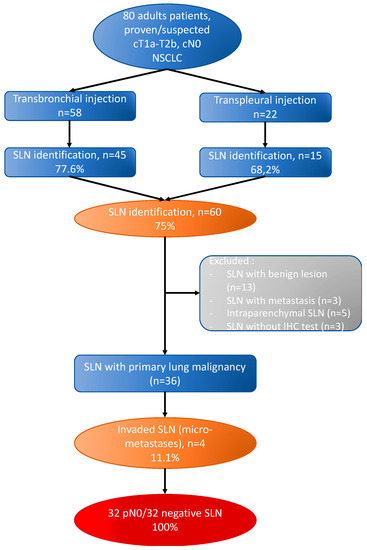 JPM, Vol. 13, Pages 90: Sentinel Lymph Node in Non-Small Cell Lung Cancer: Assessment of Feasibility and Safety by Near-Infrared Fluorescence Imaging and Clinical Consequences