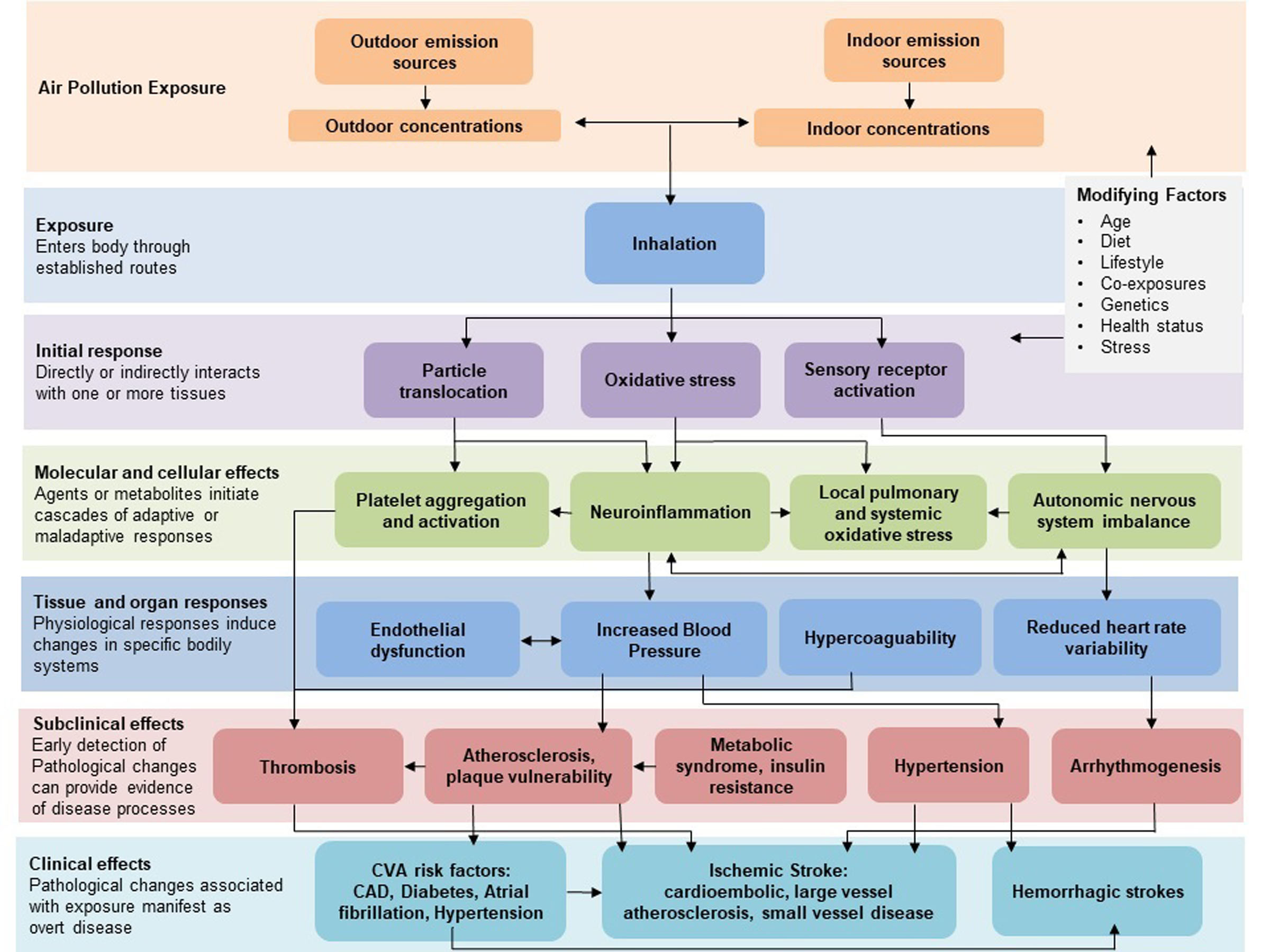 Ambient Air Pollution and Stroke: An Updated Review
