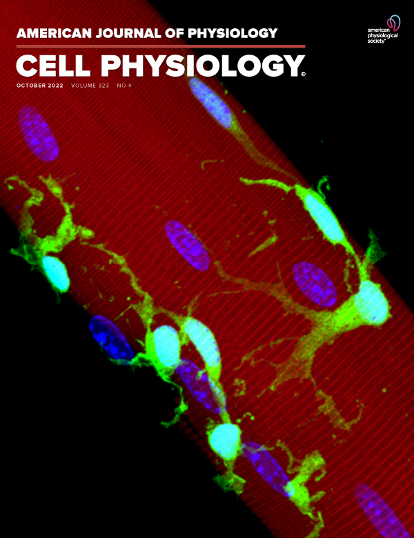 Gender Differences in GRK2 in Cardiovascular Diseases and its Interactions with Estrogen