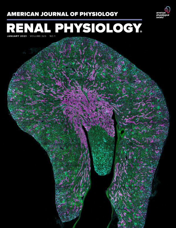 B2 cells contribute to hypertension and natural killer cell activation possibly via AT1-AA in response to placental ischemia