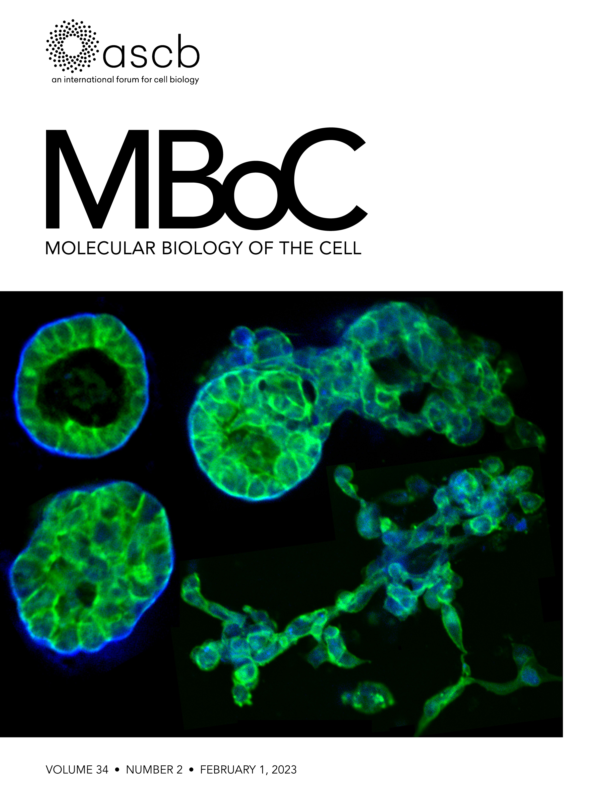 2022 ASCB Annual Meeting abstracts