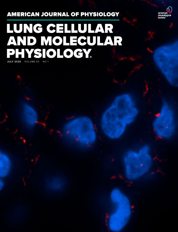 α1 adrenoreceptor antagonism mitigates extracellular mitochondrial DNA accumulation in lung fibrosis models and in patients with IPF