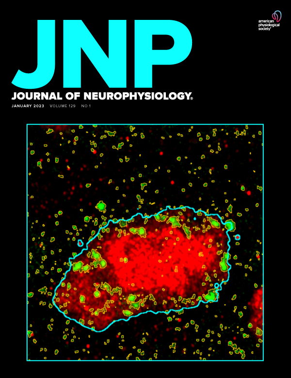 Short-term effects of visuo-motor discrepancies on multisensory integration, proprioceptive recalibration and motor adaptation
