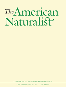 How Female-Female Competition Affects Male-Male Competition: Insights into Postcopulatory Sexual Selection from Socially Polyandrous Species