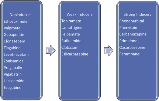 Gender Issues in Epileptic Patients
