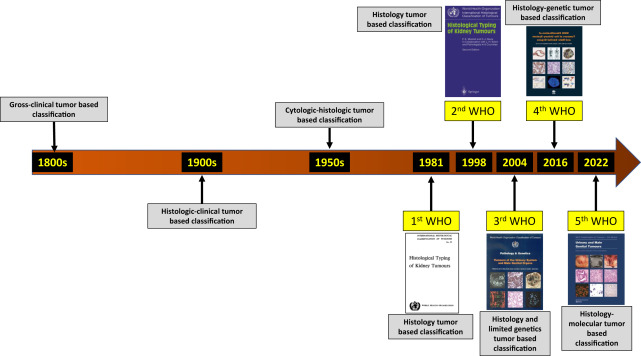Evolution in the Pathologic Classification of Renal Neoplasia