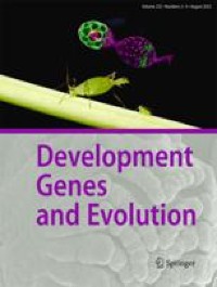 The complete dorsal structure is formed from only the blastocoel roof of Xenopus blastula: insight into the gastrulation movement evolutionarily conserved among chordates